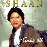Tanha Dil... - Smriti Bhoker Song Download